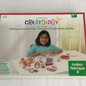 Creatology Holiday Ornament Kit